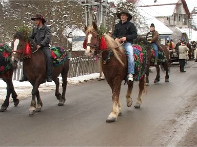 Foto caini ciobanesti - Borsa (c) eMaramures.ro